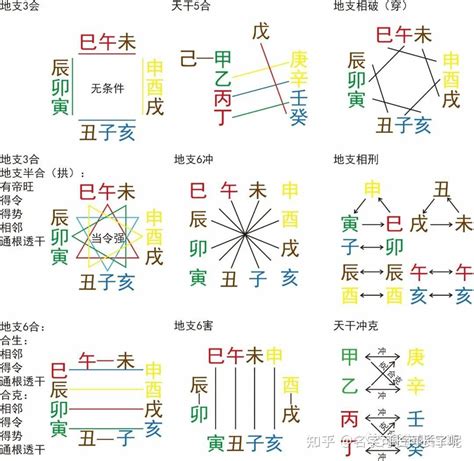 十二地支屬性|【十二屬性】十二生肖與地支五行屬性全攻略，一文搞懂你的本命。